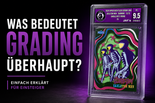 Was bedeutet Trading Card Grading überhaupt?